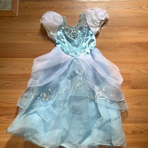Disney Cinderella Dress/Costume
